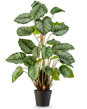 The Artificial Apple Leaf 90 cm is a pot plant with large, oval green leaves that are accentuated by light green and white stripes, against a plain white background.