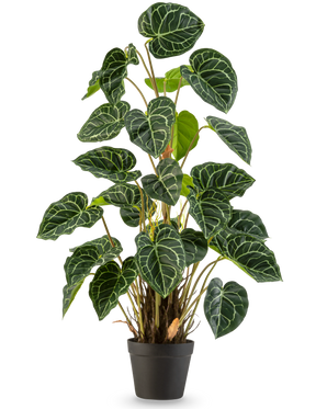 An Artificial Plant Anthurium 90 cm green with lush, heart-shaped green leaves and striking white veins, against a plain white background.