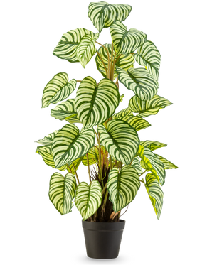 The Artificial Plant Anthurium 90 cm green is an artificial plant in a pot with large, oval green-white striped leaves, standing upright in a black pot against a plain white background.