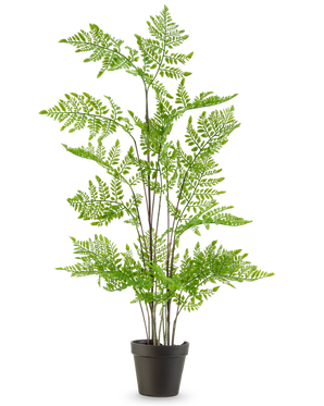 The Artificial fern plant 85 cm has delicate, feathery green leaves and multiple long, slender stems, presented in a pot against a plain white background.