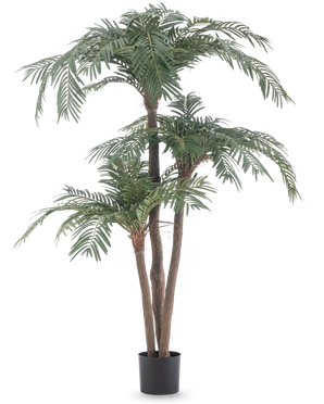 The Artificial Palm Cycas Classic 165 cm has multiple brown trunks and lush green leaves in a simple black pot, against a white background - a realistic palm that brings natural elegance to any room.