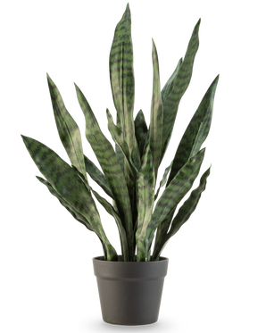 The Artificial Plant Sansevieria Zeylanica 71 cm has long, upright green leaves with dark horizontal stripes, in a simple dark gray pot against a plain white background.