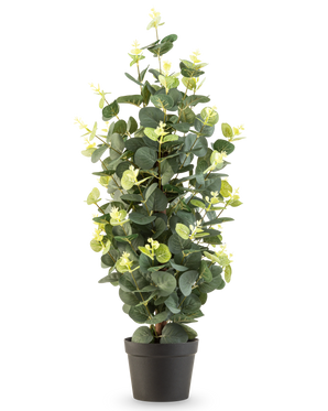 The Artificial Plant Eucalyptus 61 cm is an artificial plant in a pot with green leaves in a simple black pot, which stands upright against a white background.
