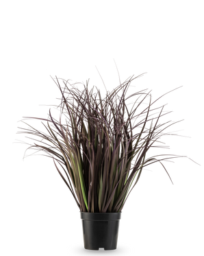 The Artificial Grass Plant Wild Lawn 50 cm fire retardant has high, narrow, dark purple leaves in a black pot against a white background - a stylish artificial plant ideal for modern interiors.