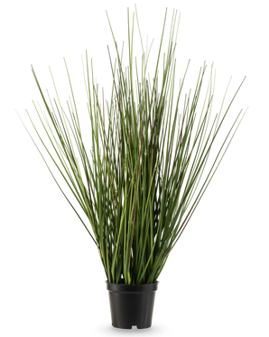 The Artificial Grass Plant Onion 50 cm fire retardant has long, narrow green stems that grow upright and taper slightly into a small black plastic pot, against a plain white background.