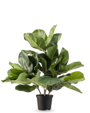 The Artificial Tobacco Plant Fiddle Leaf UV 45 cm has large, glossy green leaves and thick stems in a black plastic pot, against a plain white background.