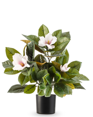 The Artificial Magnolia plant in a 46 cm pot is an easy-care plant with large, shiny green leaves and three light pink flowers with a yellow heart, in a simple black pot against a white background.