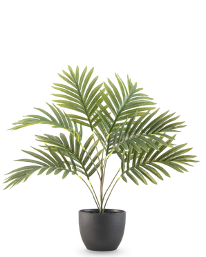 The Artificial Palm Phoenix 50 cm has long green curved leaves in a round black decorative pot, against a plain white background.