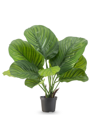 The Artificial Plant Calathea 46 cm is a pot plant with large, wide green leaves that show striking light and dark green stripes, depicted against a plain white background.