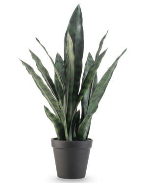 The Artificial Plant Sansevieria Zeylanica 44 cm has long, upright green leaves with colorful patterns, presented in a simple black pot against a plain white background.