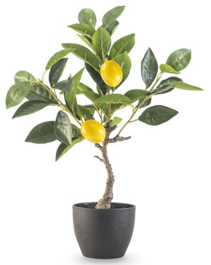 The Artificial Lemon Tree 40 cm in black decorative pot has green leaves and two ripe yellow lemons in a pot with a black structure, perfect for displaying against a white background.