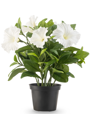 An Artificial Flower Petunia plant UV 25 cm tall in a black plastic pot has lush green leaves and multiple large, white, trumpet-shaped flowers, against a plain white background.