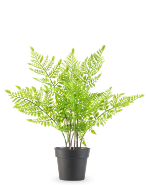 The Artificial Plant Fern 35 cm is an artificial green fern with delicate, feather-like leaves in a simple black plastic pot, against a plain white background.