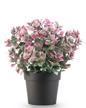 The Artificial plant Eucalyptus purple in pot UV 22 cm has purple eucalyptus leaves in a dark pot, against a plain white background.