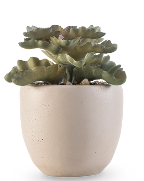 The Artificial succulent plant 15 cm has green, wavy flat leaves in a round pot of light beige ceramic with small stones, against a white background.