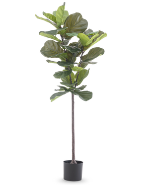 The Artificial Plant Ficus Tobacco Plant Deluxe 155 cm has wide green leaves and comes in a black pot, depicted against a plain white background.