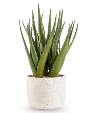 The Artificial Plant Aloe Vera 43 cm has long, pointed green leaves in a small, round pot with white structure and pebbles, against a plain white background.
