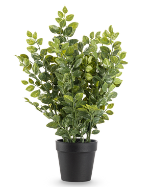The Artificial Plant Green 35 cm is a realistic artificial plant in a pot with lush green leaves in a simple black pot, depicted against a plain white background.