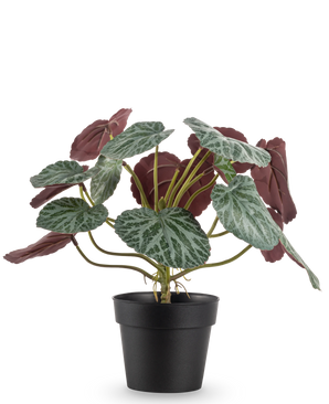 The Artificial Plant Saxifraga 27 cm has green leaves with white veins and red-purple undersides, presented in a simple black pot against a plain white background.