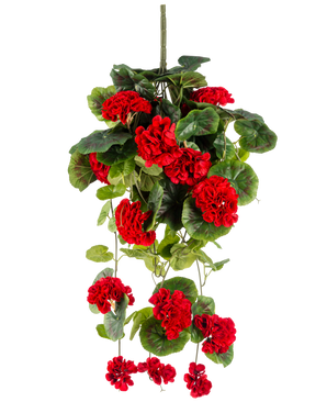 The Artificial hanging plant Geranium 75 cm red has vibrant red artificial geranium flowers with lush green leaves that fall elegantly down.
