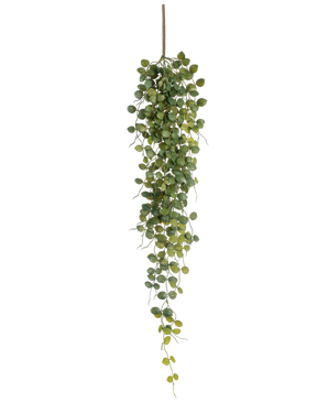 The Artificial hanging plant Pumila 96 cm has small round green leaves that hang from one brown stem, creating a lifelike trailing effect. Pictured against a white background, this artificial plant adds greenery without maintenance.