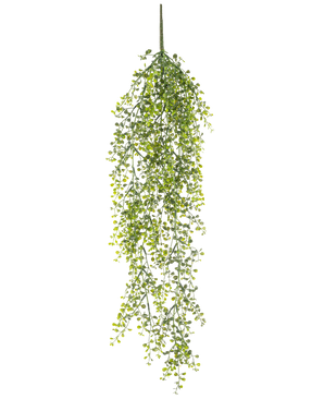 The Artificial hanging plant Buxus 80 cm is an artificial hanging plant with long, winding green tendrils and small round leaves against a white background.