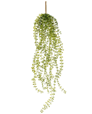 The Artificial hanging plant Jasmin 63 cm is an artificial hanging plant with long, hanging stems of small, round green leaves, hanging from a single brown stem against a white background.