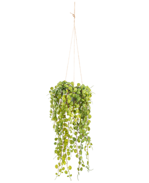 The Artificial Hanging Plant Succulent Plant 53 cm in pot has round green leaves emerging from a hanging pot, held by thin brown cords against a plain white background.