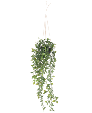 The artificial hanging plant Scindapsus in pot 73 cm has lush green leaves and long winding tendrils, suspended from thin rope against a plain white background.