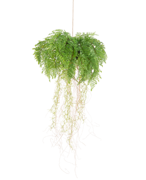 The Artificial hanging plant Fern with roots d35 cm with hanging system has long, thin roots and hangs maintenance-free on a string against a white background.