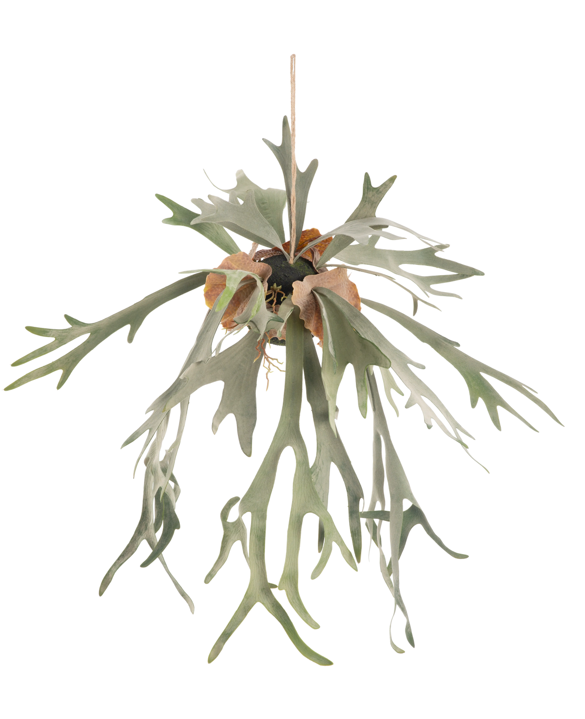 The artificial hanging plant Staghorn on ball 89 cm has long, forked green leaves and brown shield leaves, hanging from a cord against a plain white background.