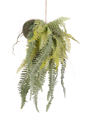 The Artificial hanging plant Frosted Fern on ball 97 cm has graceful, long green leaves that hang from a moss-covered ball on a thin rope. A stylish, maintenance-free houseplant that fits perfectly in any interior.