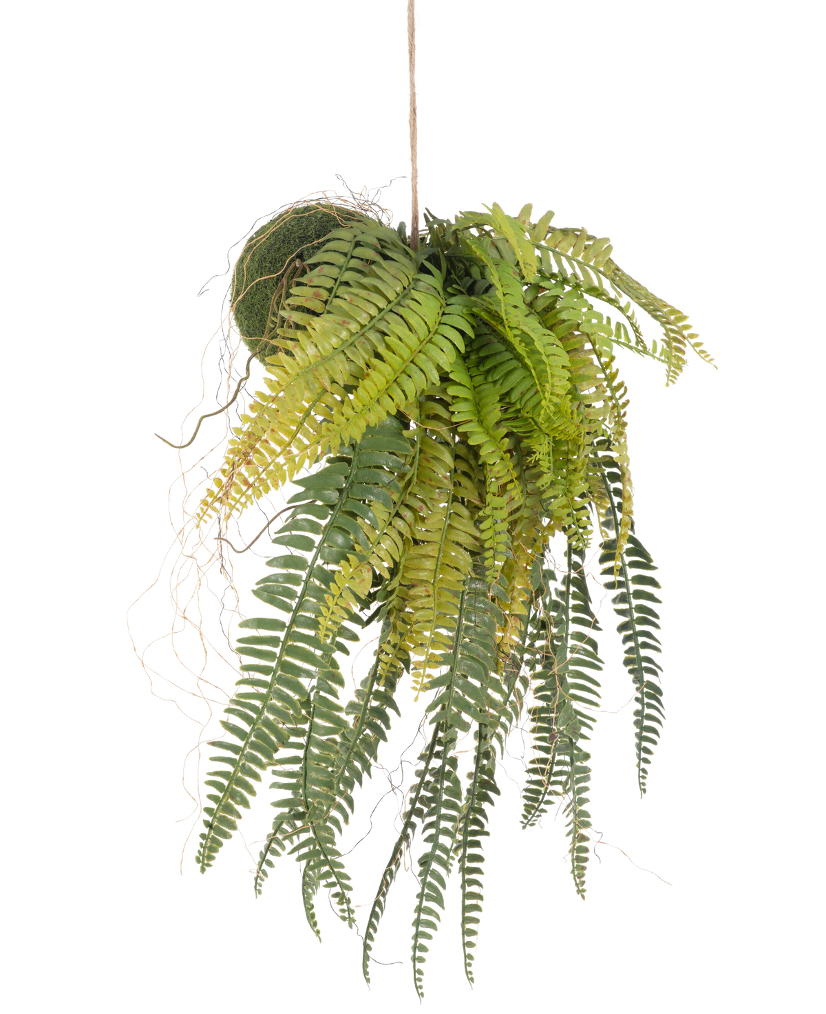 The artificial hanging plant Fern on ball 63 cm has lush, overhanging green leaves and delicate leaves. Hanging from a thin string against a white background, it is the perfect maintenance-free hanging plant for any room.