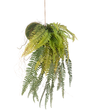 The artificial hanging plant Fern on ball 63 cm has lush, overhanging green leaves and delicate leaves. Hanging from a thin string against a white background, it is the perfect maintenance-free hanging plant for any room.