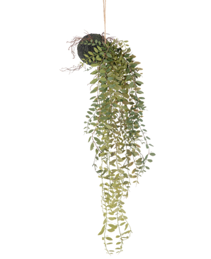 The Artificial hanging plant Pumila ball 30 cm has long, winding green tendrils with small leaves emerging from a moss-covered ball, suspended with rope against a white background.