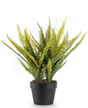 The Artificial Plant Boston Fern 53 cm has long, slender green leaves in a black pot, against a plain white background.
