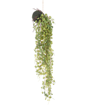 The Artificial Hanging Plant Succulent Plant on Ball 78 cm has green round leaves emerging from a small, spherical moss-covered planter, perfect as a decorative accent against a plain white background.