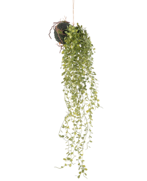 The Artificial Hanging Plant Succulent Plant Ball 58 cm has a green succulent plant with small round leaves, hanging from a moss-covered ground ball, against a plain white background.