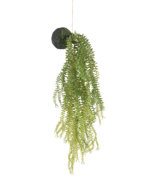 The artificial hanging plant Phlegmariurus ball 50 cm has green fern leaves on a moss-covered round base, suspended from a string against a white background.