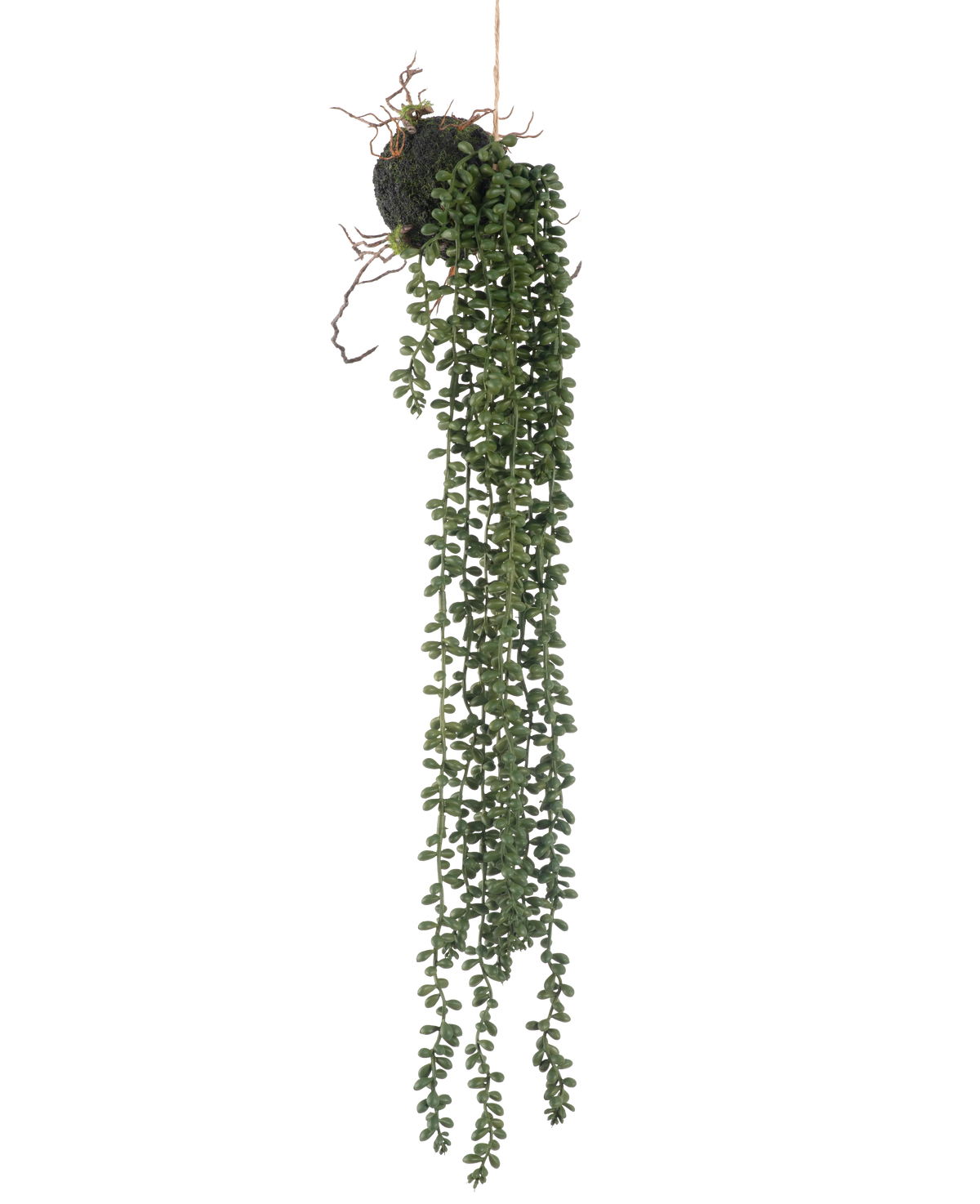 The artificial hanging plant Senecio ball 58 cm has long, winding green tendrils with small round leaves that hang from a moss ball, against a white background.