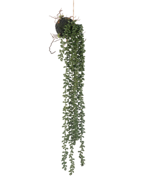 The artificial hanging plant Senecio ball 58 cm has long, winding green tendrils with small round leaves that hang from a moss ball, against a white background.