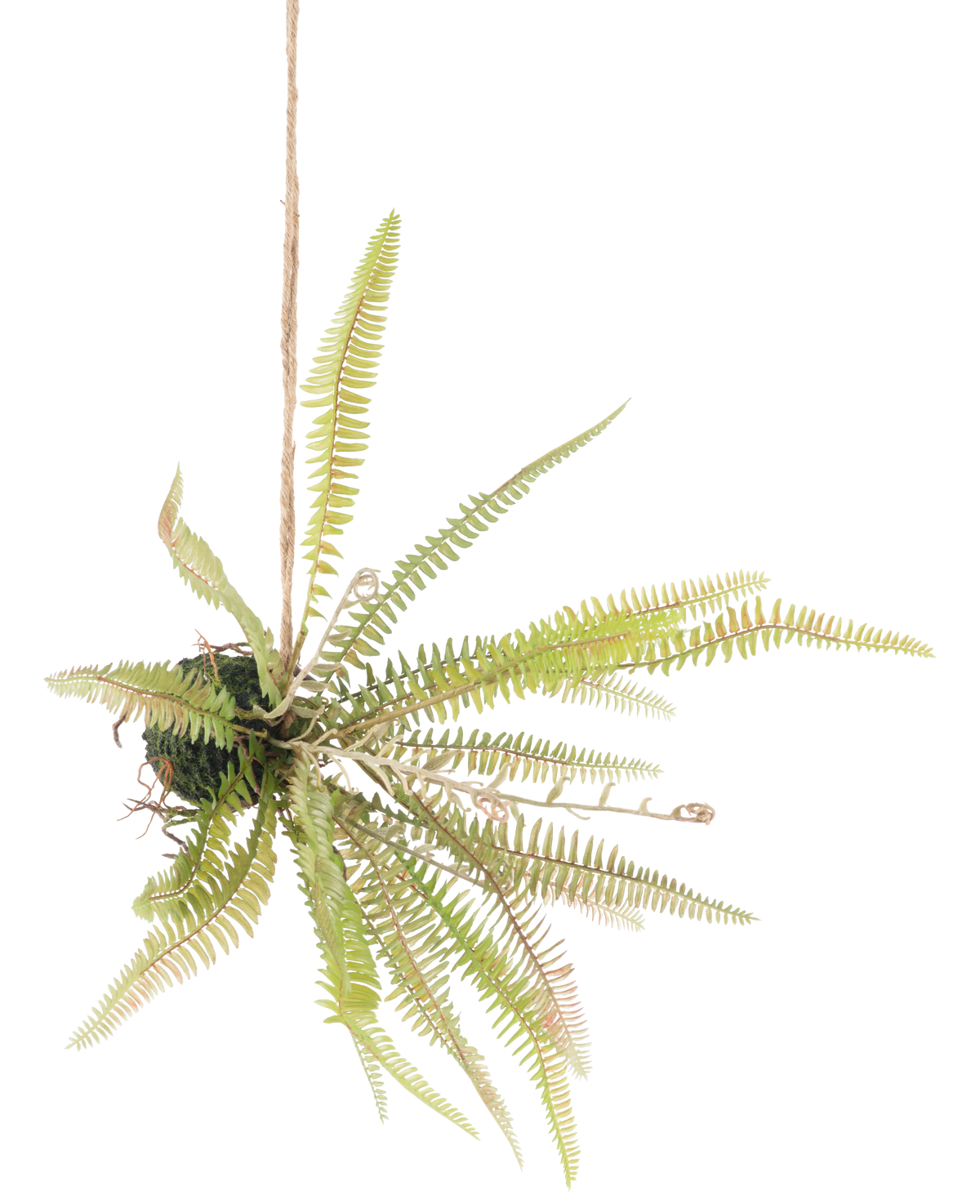 The Artificial hanging plant fern ball 45 cm has long, slender green leaves that stick out and is hung with rope against a plain white background.
