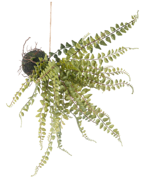 The Artificial Hanging Plant Fern Ball 45 cm has trailing green fern-like leaves and hangs on a string, perfect for displaying against a white background.