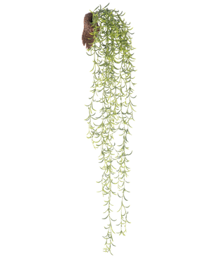 The artificial hanging plant Senecio 86 cm has long, green succulent stems with small, narrow leaves that emerge from a brown root ball, against a white background.