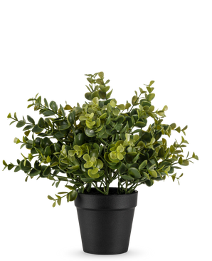 The Artificial Plant Pumila 25 cm is a small potted artificial plant with lush green leaves in a simple black pot, depicted against a plain white background.