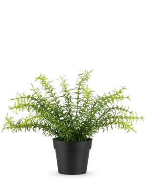 The Artificial Plant Anthurium 27 cm has long, slender green leaves extending from a black plastic pot, against a plain white background.