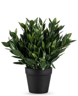The Artificial Plant Pumila 23 cm is a lush green artificial plant with numerous pointed leaves, in a simple black pot and against a plain white background.