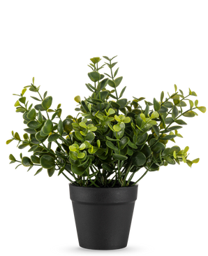 The Artificial Plant Pumila 20 cm is a small potted artificial plant with round green leaves in a simple black pot, displayed on a plain white background.