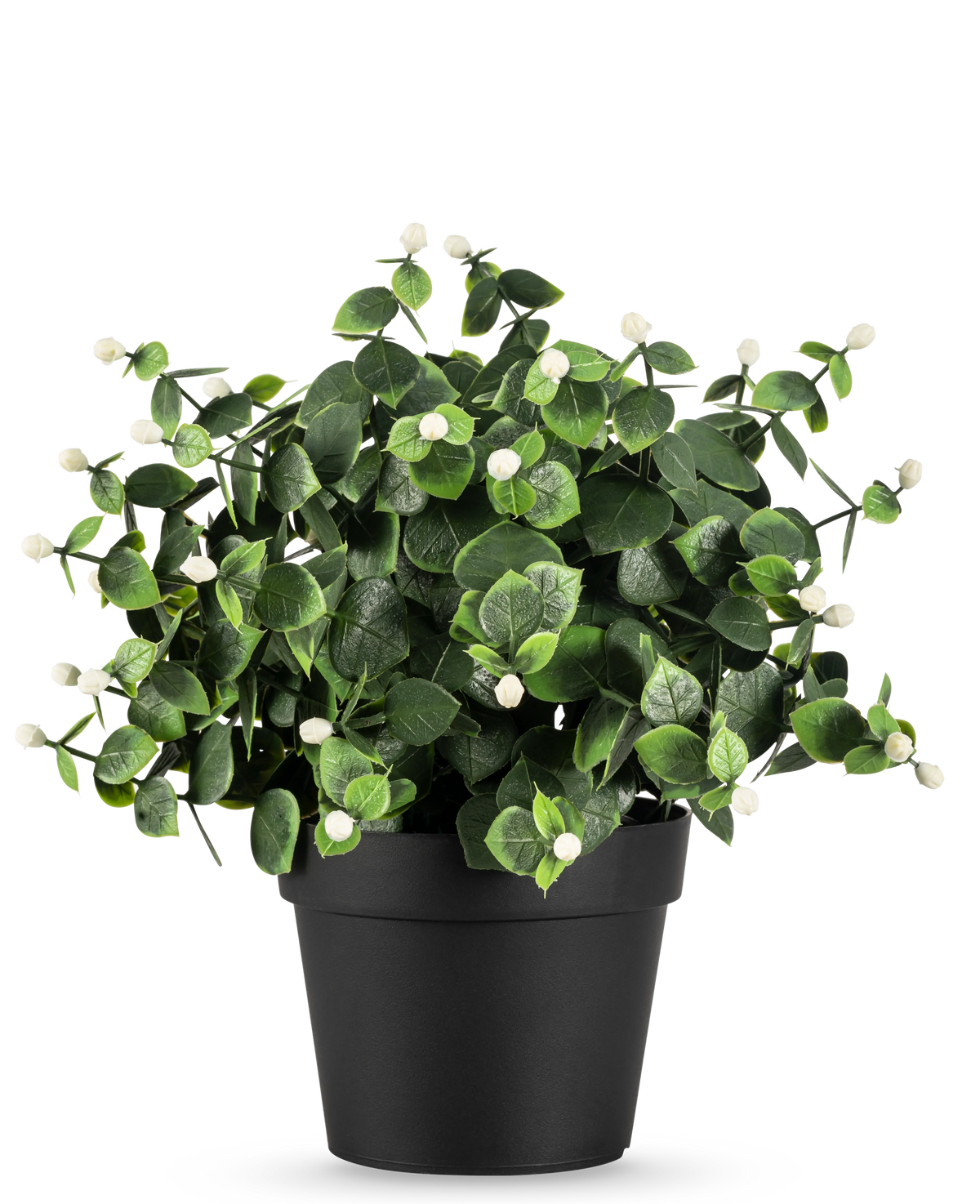 The Artificial Plant Eucalyptus white in pot UV 22 cm has dense green leaves and small white buds in a simple black pot, perfect to brighten up any space.