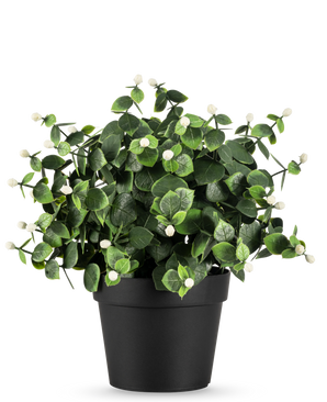 The Artificial Plant Eucalyptus white in pot UV 22 cm has dense green leaves and small white buds in a simple black pot, perfect to brighten up any space.